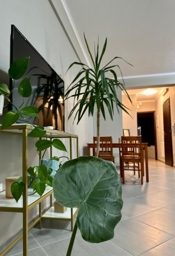 Apartament Snappyb - Colours Aleksandropolis Zewnętrze zdjęcie